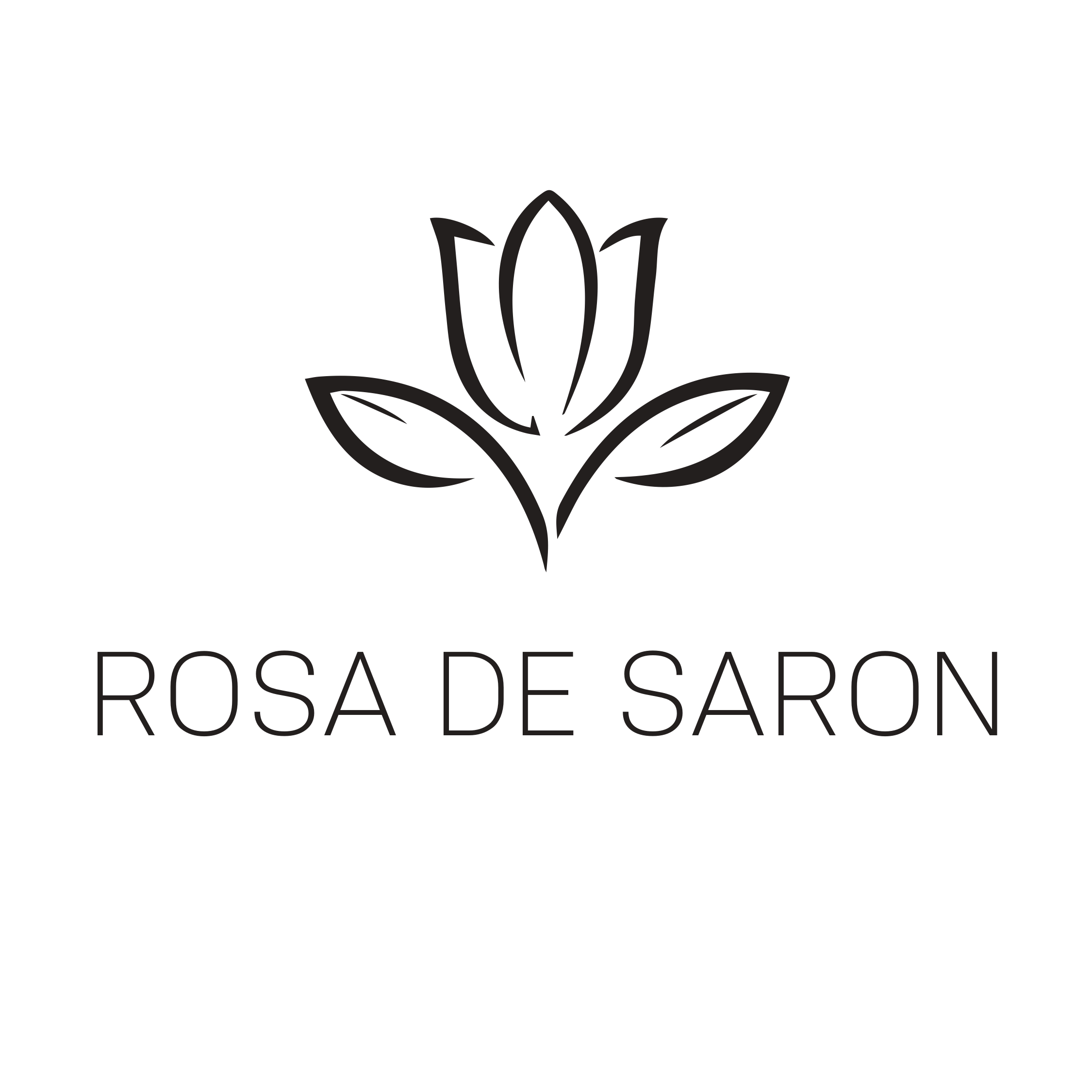ROSA DE SARON