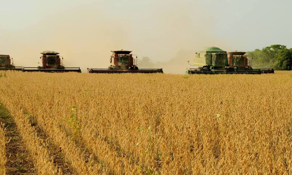 Safra 19/20 – Pontes e Lacerda e municípios da região plantam 308 mil hectares de grãos